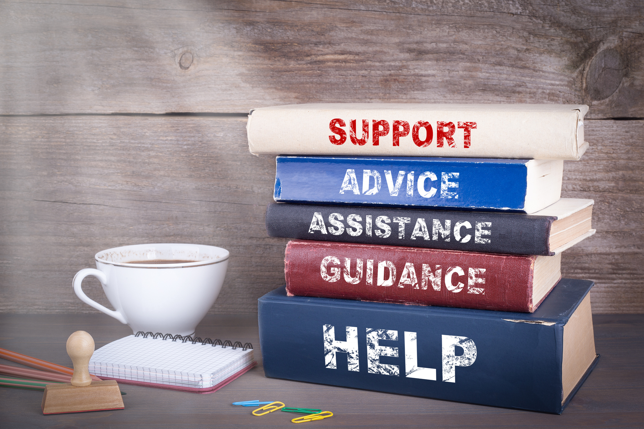 Consultancy Program